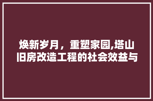 焕新岁月，重塑家园,塔山旧房改造工程的社会效益与启示