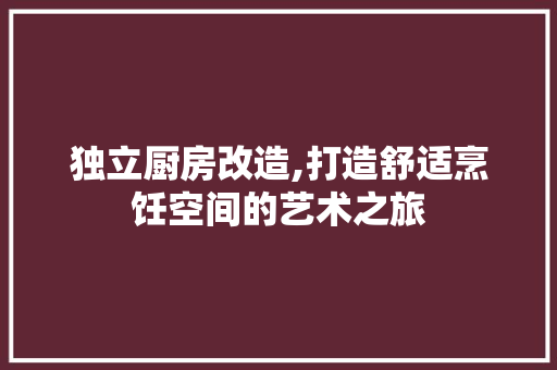 独立厨房改造,打造舒适烹饪空间的艺术之旅