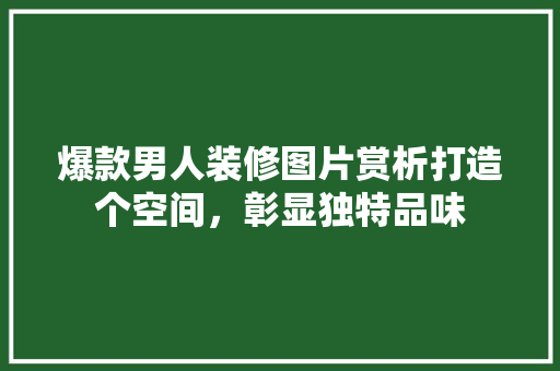 爆款男人装修图片赏析打造个空间，彰显独特品味