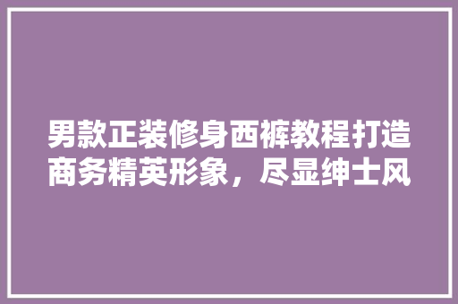 男款正装修身西裤教程打造商务精英形象，尽显绅士风采 建筑法规