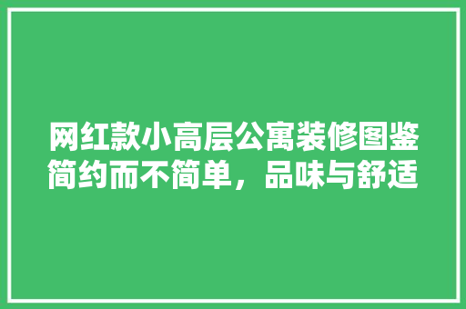 网红款小高层公寓装修图鉴简约而不简单，品味与舒适的完美融合