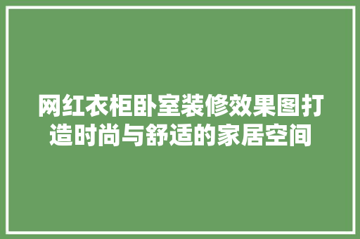 网红衣柜卧室装修效果图打造时尚与舒适的家居空间