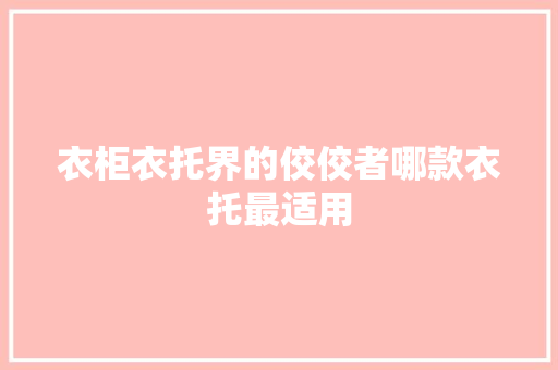 衣柜衣托界的佼佼者哪款衣托最适用