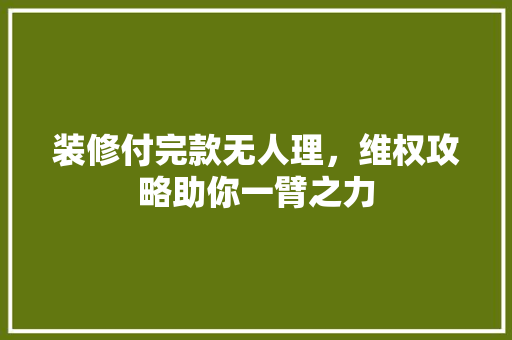 装修付完款无人理，维权攻略助你一臂之力