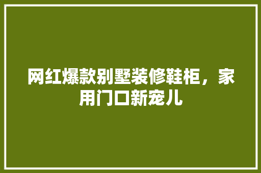 网红爆款别墅装修鞋柜，家用门口新宠儿 施工工艺