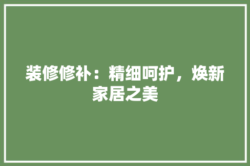 装修修补：精细呵护，焕新家居之美