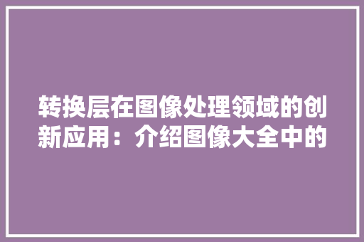 转换层在图像处理领域的创新应用：介绍图像大全中的秘密武器