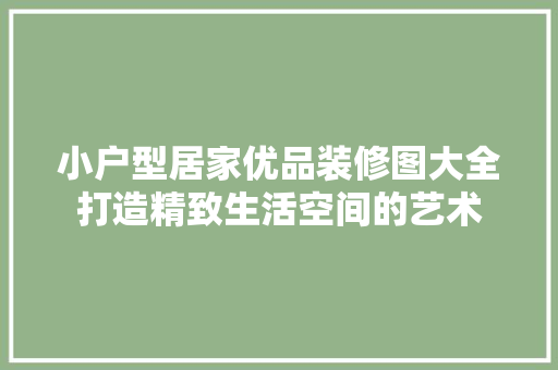 小户型居家优品装修图大全打造精致生活空间的艺术