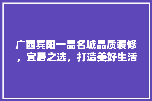 广西宾阳一品名城品质装修，宜居之选，打造美好生活新标杆