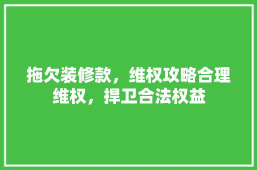 拖欠装修款，维权攻略合理维权，捍卫合法权益