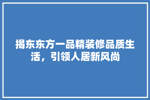 揭东东方一品精装修品质生活，引领人居新风尚