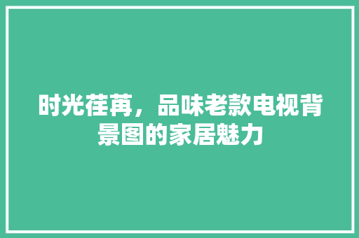 时光荏苒，品味老款电视背景图的家居魅力