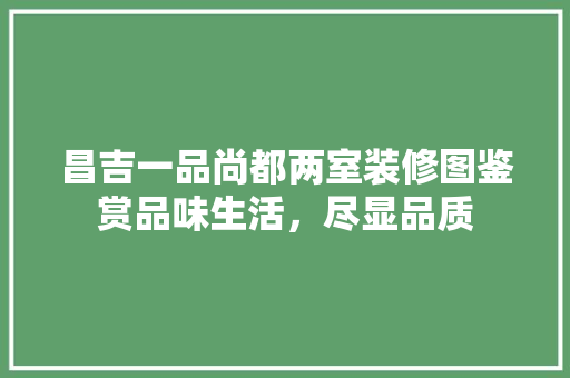昌吉一品尚都两室装修图鉴赏品味生活，尽显品质