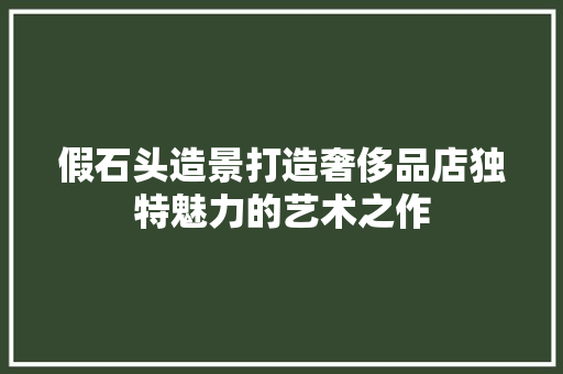 假石头造景打造奢侈品店独特魅力的艺术之作