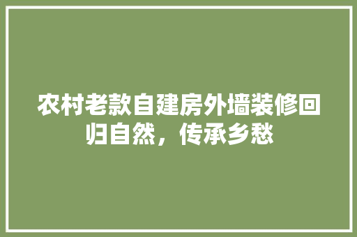 农村老款自建房外墙装修回归自然，传承乡愁