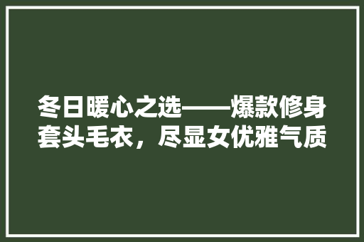 冬日暖心之选——爆款修身套头毛衣，尽显女优雅气质