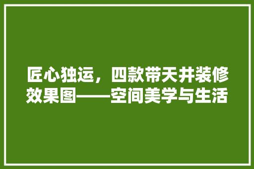 匠心独运，四款带天井装修效果图——空间美学与生活哲学的交融