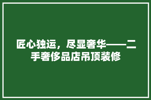匠心独运，尽显奢华——二手奢侈品店吊顶装修
