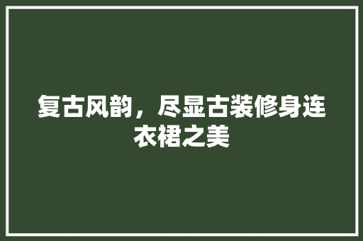 复古风韵，尽显古装修身连衣裙之美