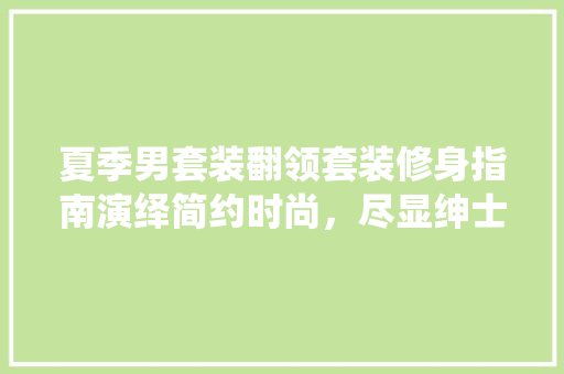 夏季男套装翻领套装修身指南演绎简约时尚，尽显绅士风范