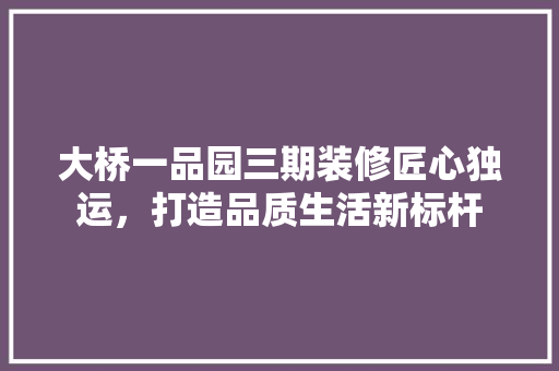 大桥一品园三期装修匠心独运，打造品质生活新标杆
