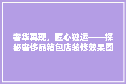 奢华再现，匠心独运——探秘奢侈品箱包店装修效果图的艺术魅力