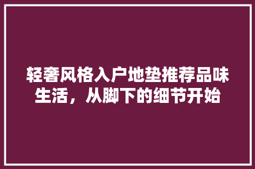轻奢风格入户地垫推荐品味生活，从脚下的细节开始