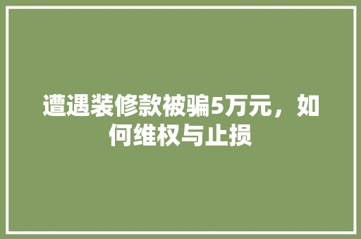遭遇装修款被骗5万元，如何维权与止损