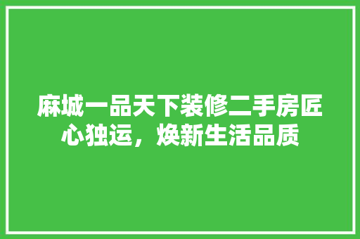 麻城一品天下装修二手房匠心独运，焕新生活品质