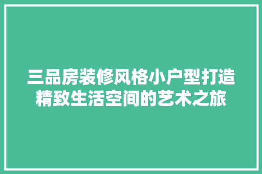 三品房装修风格小户型打造精致生活空间的艺术之旅