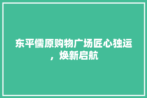 东平儒原购物广场匠心独运，焕新启航