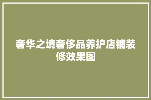 奢华之境奢侈品养护店铺装修效果图