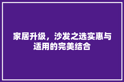 家居升级，沙发之选实惠与适用的完美结合