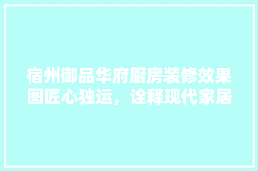 宿州御品华府厨房装修效果图匠心独运，诠释现代家居美学 常用设备