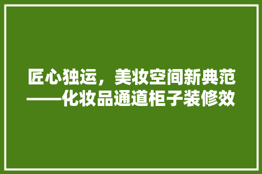 匠心独运，美妆空间新典范——化妆品通道柜子装修效果图 工艺流程