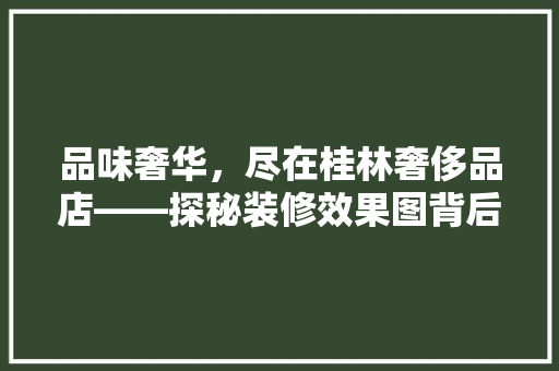 品味奢华，尽在桂林奢侈品店——探秘装修效果图背后的艺术与匠心