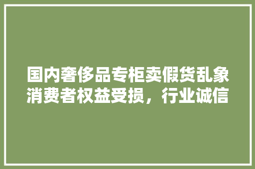 国内奢侈品专柜卖假货乱象消费者权益受损，行业诚信堪忧