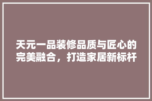 天元一品装修品质与匠心的完美融合，打造家居新标杆