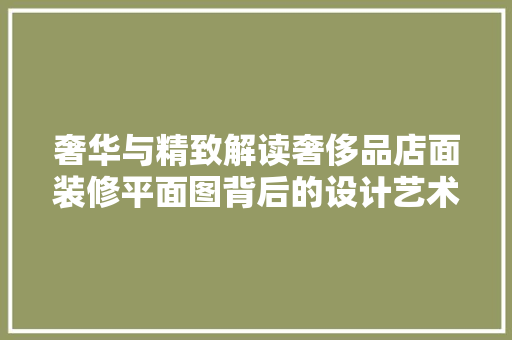 奢华与精致解读奢侈品店面装修平面图背后的设计艺术