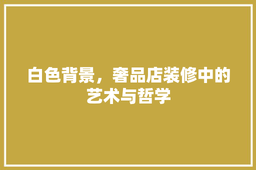 白色背景，奢品店装修中的艺术与哲学
