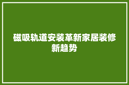磁吸轨道安装革新家居装修新趋势
