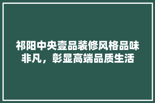 祁阳中央壹品装修风格品味非凡，彰显高端品质生活