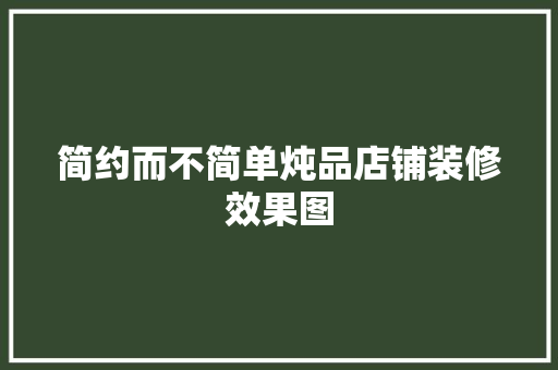 简约而不简单炖品店铺装修效果图
