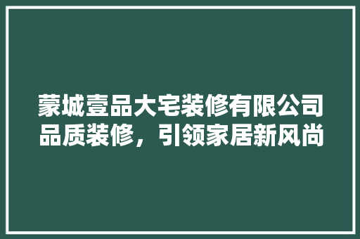 蒙城壹品大宅装修有限公司品质装修，引领家居新风尚