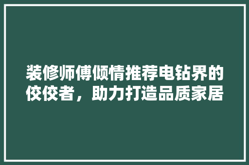 装修师傅倾情推荐电钻界的佼佼者，助力打造品质家居！