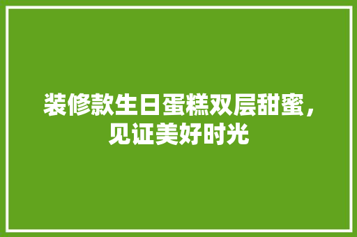 装修款生日蛋糕双层甜蜜，见证美好时光