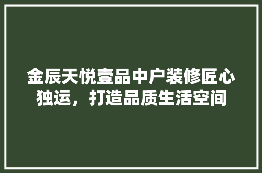 金辰天悦壹品中户装修匠心独运，打造品质生活空间