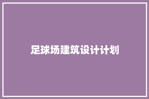 足球场建筑设计计划