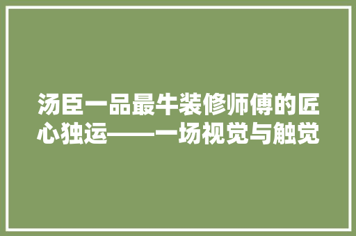 汤臣一品最牛装修师傅的匠心独运——一场视觉与触觉的盛宴