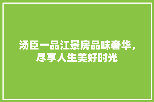 汤臣一品江景房品味奢华，尽享人生美好时光